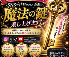 SNSフォロワーを増やします イメージ1