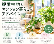 観葉植物選びと飾り方を文章でアドバイスします イメージ1