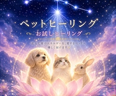 ペットヒーリングします 愛するペットを、光と癒しのエネルギーで整えるお手伝いを☆