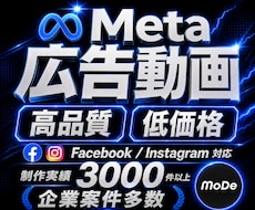 高品質・丸投げ◎Meta広告動画を編集します クライアントの意図を汲み取ったクオリティの高い動画制作を提供