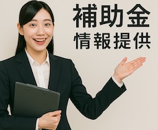 活用出来る補助金や支援策のご提案をします やりたい事、買いたい物をヒアリング⇒活用出来る補助金をご提案