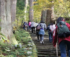 山形県庄内地方の詳しい観光情報を提供します