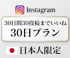 最安値【月額】インスタ日本人いいね30日増やします イメージ1
