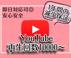 YouTubeの再生数が伸びるまで宣伝します 最大10万回再生！減少補償ありの安心安全サービス✨