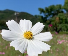 あなたに癒しの魔法と恋愛術を届けます イメージ1