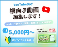 横動画の動画編集を丸ごと任せたい方を募集します イメージ1