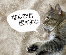 お悩み愚痴雑談なんでも聞きます イメージ1