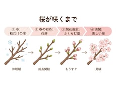 わかりやすいオリジナル図解を作成します イメージ1