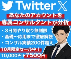 あなたのTwitter,Xアカウントコンサルします アカウントに必要な運営法等をプロが３日間解説！質疑応答あり◎