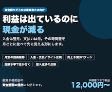 資金繰り表・売上予測のExcelを作ります イメージ1