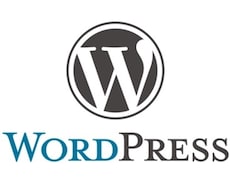 WordPressと別データベースの連携いたします WPサイトに自社のデータベースのデータを表示させたい。