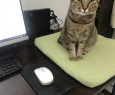 パソコンの相談受けます