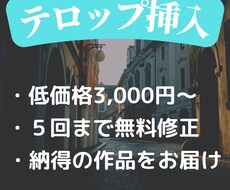 低価格であなたの動画へテロップ入れます イメージ1