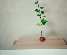 看護師歴１５年  ☆心が軽くなるお手伝いをします イメージ1