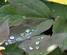 あなたのお話を聞きます イメージ1