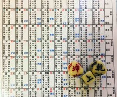 四柱推命、宿曜、断易、イーチンタロットで占います 本格的な命術！的中率の高い占いでお悩み解決！