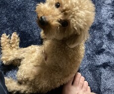 どんなお話でも聞きます イメージ1