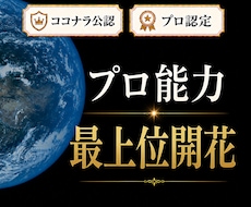 プロを超えるプロ能力が発揮できる最上位開花します イメージ1