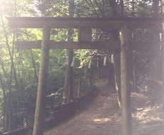神直毘神社　神恩感謝で参拝願います イメージ1