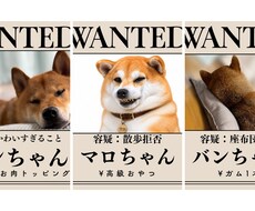 愛犬・愛猫の写真を指名手配風ポスターに加工します イメージ1