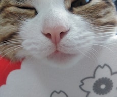 悩みや愚痴をききます イメージ1