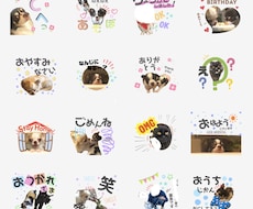 ペットやお子様の写真からLINEスタンプ作成します 8個3500円〜♪かわいい写真をスタンプで自慢しちゃお〜☆