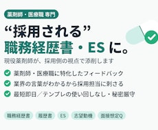 現役薬剤師があなたの職務経歴書を添削します イメージ1