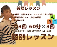 月3回の60分✖️3回の英語の個別指導をします 14年経験×米国経験の英語講師
