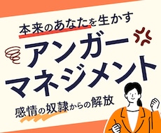 アンガーマネジメントの為の心理学的助言をします イメージ1