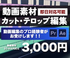 実績作りの為、格安で動画カット・テロップ挿入します イメージ1