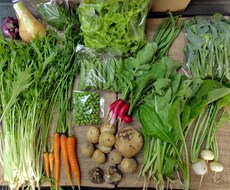 通年自然栽培の野菜を販売している農家が教えます イメージ1