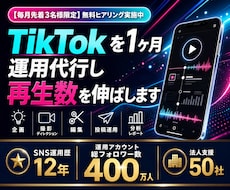 200万運用のプロがTikTokを運用代行します 企画から編集・投稿・レポートまで体制で回します