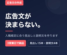 そのまま入稿できる広告文を現役運用者が書きます イメージ1