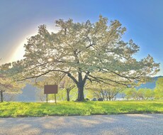 トキメキから情熱まで、あなたに届けます イメージ1