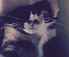 文章の内容を考えます イメージ1