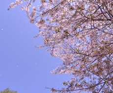 心身のお悩みを解決するお手伝いをさせていただきます ウィッチクラフト（魔女術）に興味がある方、占い希望の方