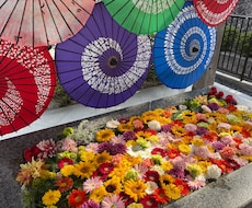どんな悩みにも寄り添います イメージ1