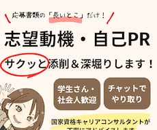 志望動機・自己PR　サクッと添削＆深堀りします イメージ1