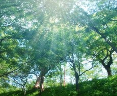 算命学開運占い　本来の自分に目覚め開運へと導きます 自分の宿命や運命を知って生き生きと輝く人生を送りたい方へ