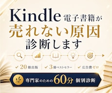 ベストセラー著者がKindle本を徹底診断します 60分ビデオチャットで売れない原因と改善策を提案