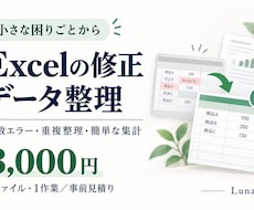 Excelの修正・データ整理をお手伝いします イメージ1