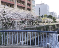 新社会人や一人暮らしおすすめの華金楽しみ方教えます イメージ1