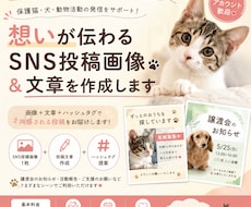 想いが伝わるSNS投稿画像＆文章を作成します イメージ1