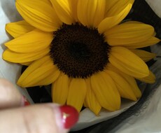 誰かと話したい…お友達の様にお話します イメージ1