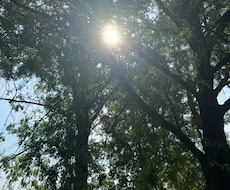 心・思考・感覚を整えるセッションをします イメージ1