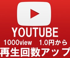 Youtube再生回数を1000から拡散します 追加オプションでさらにプラスへ