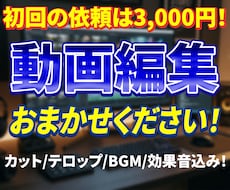 3,000円でYouTube向け動画編集いたします イメージ1