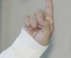 声真似で笑わせます イメージ1
