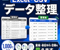 Excel・CSV500行のデータ整理を代行します イメージ1