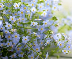 あの人からのメッセージをもらいます 片思い、恋人、友人etc...気になるあの人からのメッセージ